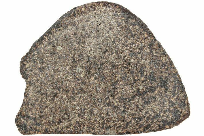 Polished Chondrite Meteorite Slice ( g) - Morocco #238061